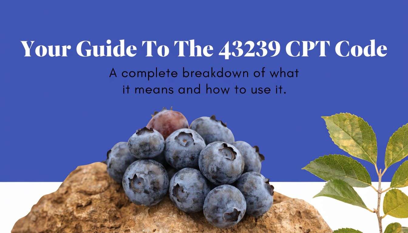 A pile of fresh blueberries sitting on a rock against a blue and white background.