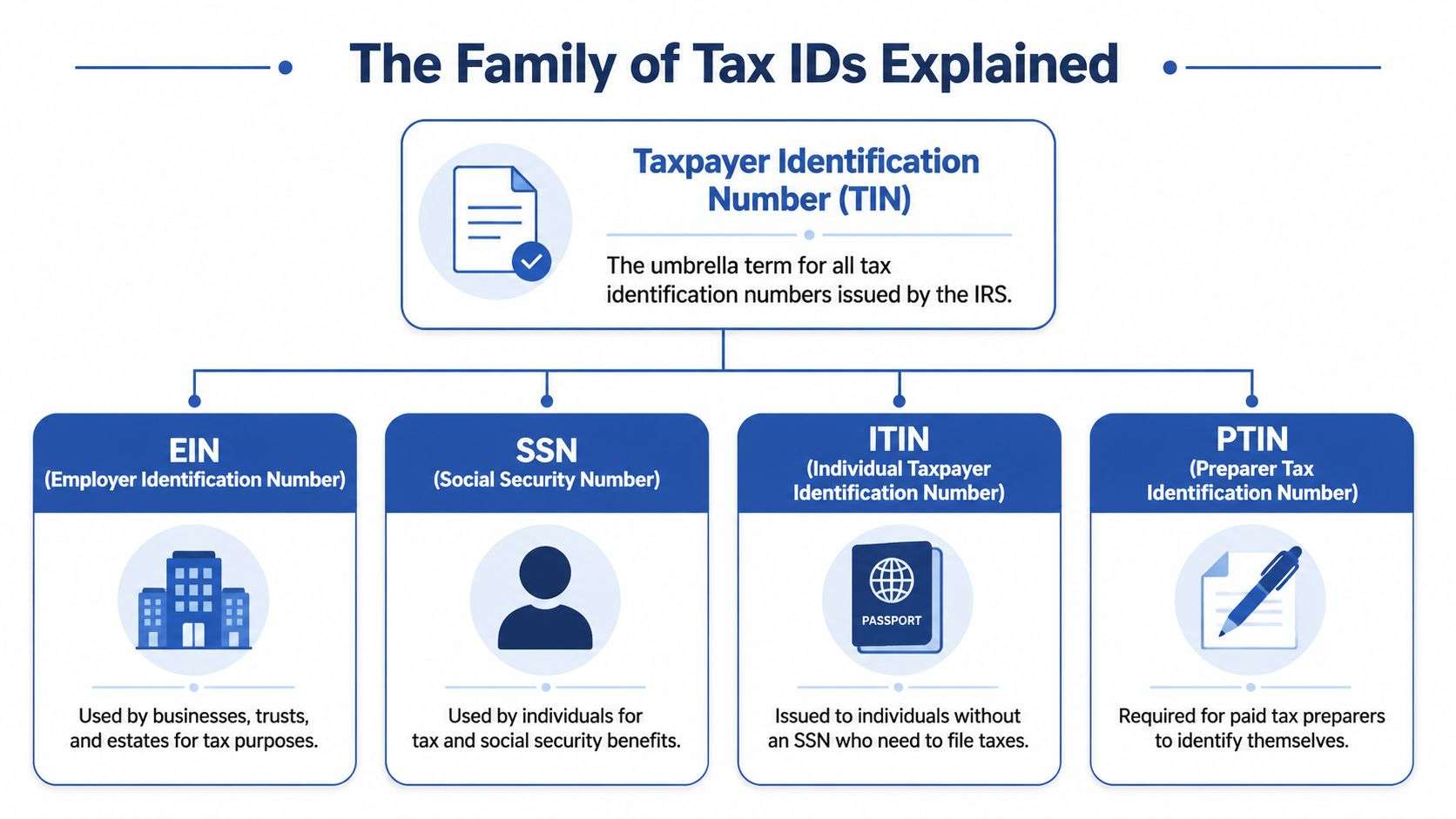 A chart explaining the family of Tax Identification Numbers including EIN, SSN, ITIN, and PTIN.
